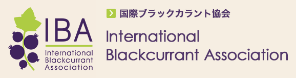 International Blackcurrant Association