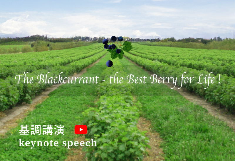 ブラックカラントやそのジュースを食べたり 飲んだり マンスリーコラム 日本ブラックカラント協会